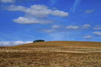 Landscape, 12th international wind art festival 2025, landscape exhibition bewegter wind,