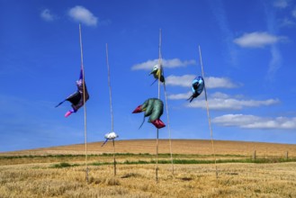 The Installation RAYS by Lorena Malo, 12th international wind art festival 2025, landscape