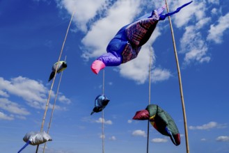 The Installation RAYS by Lorena Malo, 12th international wind art festival 2025, landscape