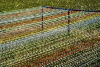 The installation Wind Carpet by Kotoaki Asano, 12th international wind art festival 2025, landscape