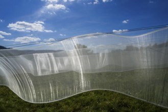 The installation Aurora by Kirsten Sauer (kisa.), 12th international wind art festival 2025,