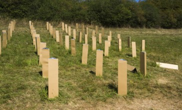 The Installation AUFFORSTUNG, REFORESTATION by Matthias Block, 12th international wind art festival