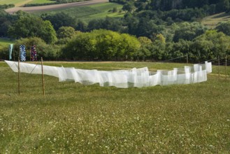The installation Aurora by Kirsten Sauer (kisa.), 12th international wind art festival 2025,