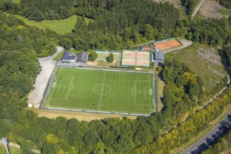 Aerial view, sports field TUS Rhode, grass pitch, artificial turf sports field, Sauerland, Rhode,
