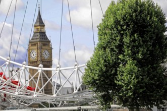 Big Ben and the London Eye behind a large tree and ropes, under a cloudy sky, London, England,