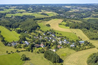 Aerial view, residential area, local view district Beckinghausen, meadows and fields with forest