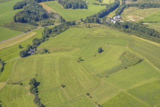 Aerial view, meadows and fields with single trees, CVJM Kierspe e.V., Thal, LSG landscape
