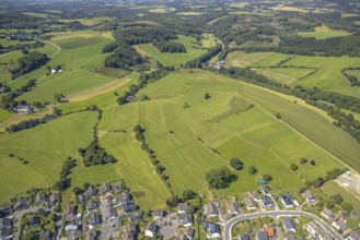 Aerial view, meadows and fields with single trees, CVJM Kierspe e.V., Thal, LSG landscape