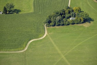 Aerial view, curved path to a wooded area in Dörscheln, shapes and colours, Elbringhausen, Kierspe,