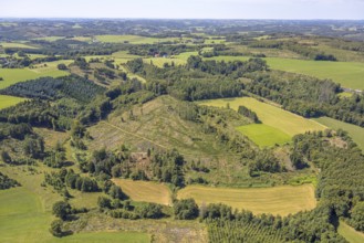 Aerial view, Stippesiepen landscape conservation area, forest area with forest damage, meadows and