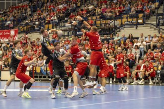 2nd HBL (German Handball League), 2025/26 season, matchday 1: Eulen Ludwigshafen against TUSEM