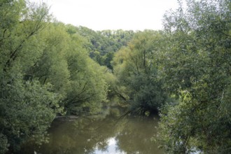 Kocher valley near Gelbingen, Kocher, river, Schwäbisch Hall, Hohenlohe, Germany