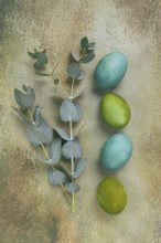 Composition of colored eggs and eucalyptus leaves, on a textured background, Easter card, no people