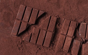 Chocolate bars broken and scattered on cocoa powder background with rich texture and color