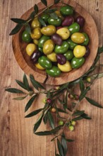 A mixture of olives, varieties of chalkidiki, Verdi giganti and Kalamata, in a bowl, top view, no