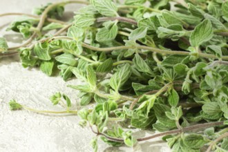 Fresh oregano sprigs are neatly arranged on a rustic plate, natural light, top view, no people