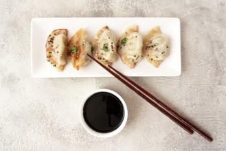 Gyoza Japanese dumplings, fried, with sauce, green onion, and sesame seeds, natural color, light