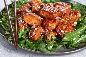 Fried salmon slices, teriyaki with sesame seeds, with arugula salad, top view