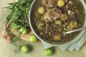 Chakapuli, Georgian dish, stewed meat with herbs and tkemali, in white wine, homemade, no people