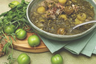 Chakapuli, Georgian dish, stewed meat with herbs and tkemali, in white wine, homemade, no people