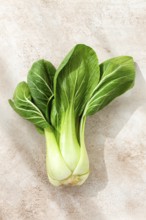 Fresh bok choy, laid out on a light gray surface, top view, natural light