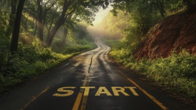A winding road through a lush forest, bathed in sunlight, with the word START painted on the
