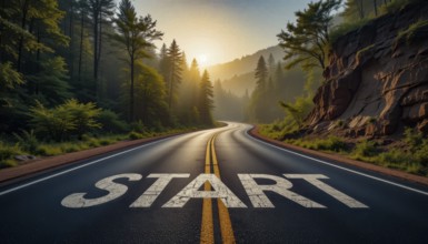 A winding road through a lush forest at sunrise, the word 'START' painted on the pavement,