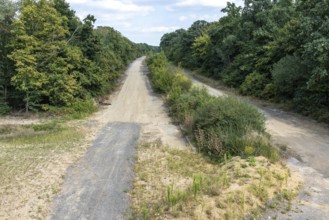 Old A4 motorway route dismantled with vegetation near Manheim, North Rhine-Westphalia, Germany