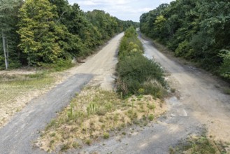 Old A4 motorway route dismantled with vegetation near Manheim, North Rhine-Westphalia, Germany