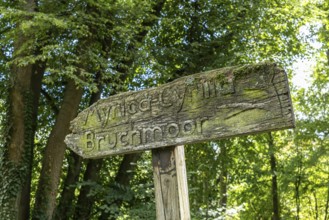 Old wooden sign in the forest, Paffendorf, North Rhine-Westphalia, Germany