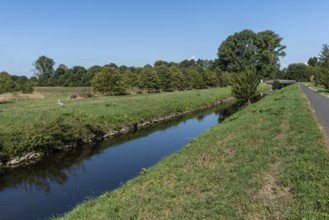 Quiet course of the river Erft with herons, meadows and bridge in the background, Paffendorf, North