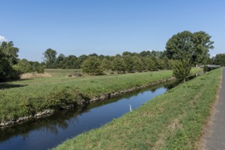 Quiet course of the river Erft with herons, meadows and bridge in the background, Paffendorf, North