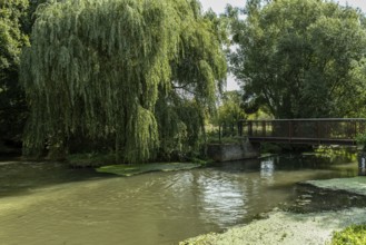 Bridge over river Erft near Paffendorf with pasture in the foreground, Paffendorf, North