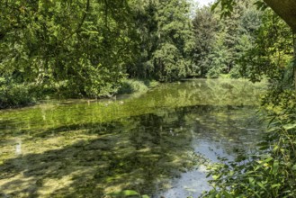 Park pond in Paffendorf Castle Park, Paffendorf, North Rhine-Westphalia, Germany