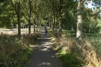 Cyclist under trees on a narrow path, Paffendorf, North Rhine-Westphalia, Germany