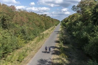 Cyclist on the former railway line of the Hambach open-cast mine, Rhineland-Palatinate, Germany