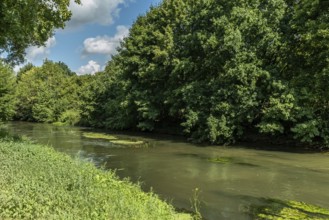 River Erft with green trees on the banks near Paffendorf, North Rhine-Westphalia, Germany