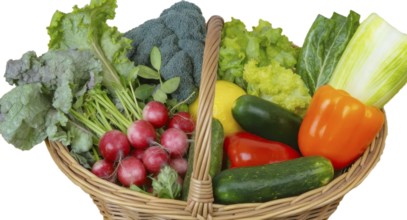 A wicker basket overflowing with a colorful array of fresh vegetables, including radishes, lettuce,