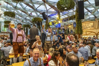 Visitors in the Hofbräu marquee at the Oktoberfest 2024 in Munich, Bavaria, Germany