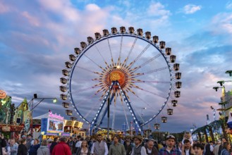 Ferris wheel at Oktoberfest 2024 at dusk, Munich, Bavaria, Germany