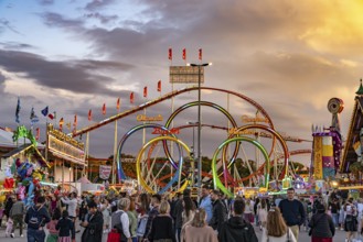Olympic looping roller coaster at the Oktoberfest 2024 in Munich, Bavaria, Germany