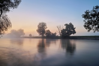 Morning atmosphere at the river Reuss, Mühlau, Freiamt, Canton, Aargau, Switzerland