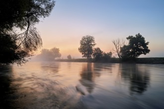 Morning atmosphere at the river Reuss, Mühlau, Freiamt, Canton, Aargau, Switzerland