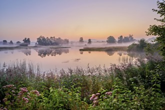 Morning atmosphere with early morning fog at a pond in the nature reserve Schoren, Mühlau, Freiamt,
