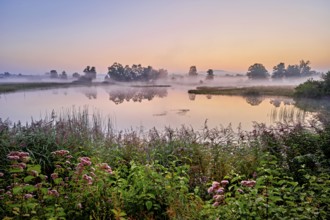 Morning atmosphere with early morning fog at a pond in the nature reserve Schoren, Mühlau, Freiamt,