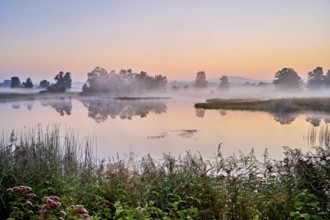 Morning atmosphere with early morning fog at a pond in the nature reserve Schoren, Mühlau, Freiamt,