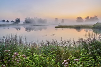 Morning atmosphere with early morning fog at a pond in the nature reserve Schoren, Mühlau, Freiamt,
