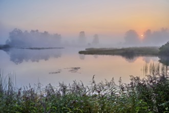 Morning atmosphere with early morning fog at a pond in the nature reserve Schoren, Mühlau, Freiamt,