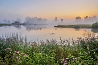 Morning atmosphere with early morning fog at a pond in the nature reserve Schoren, Mühlau, Freiamt,