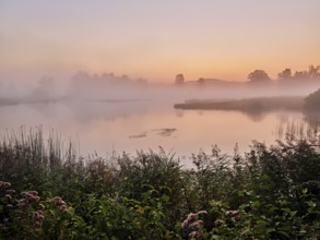 Morning atmosphere with early morning fog at a pond in the nature reserve Schoren, Mühlau, Freiamt,